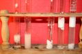 gal/LES_CINQUIEMES/ACTIVITE DIGESTION IN VITRO/Groupe_03/Groupe03_t_01h20min/_thb_Groupe03_temps01H20min_7.jpg